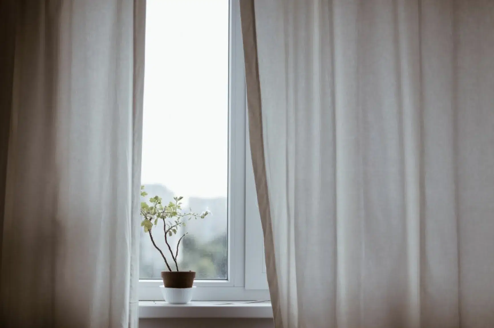 An image of a plant on a windowsill letting light in between two white linen curtains